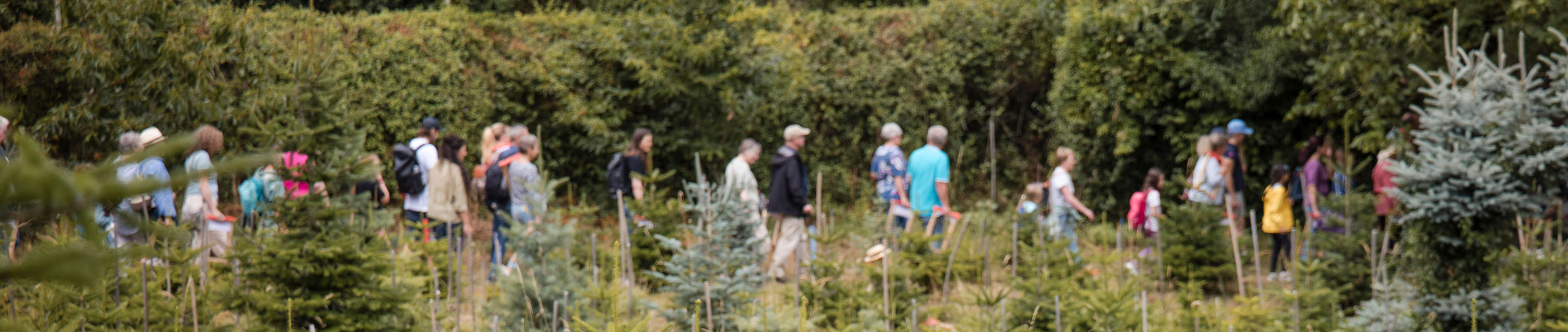 Zuschauer wandern zur nächsten Szene